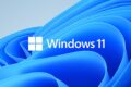 Viewer e Windows 11
